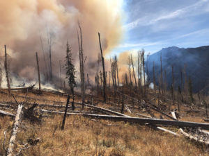 Smoke and wildfire