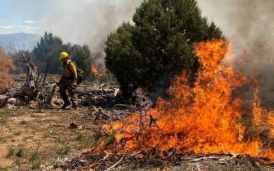 Prescribed Burn Treatments Planned for Tres Rios and Uncompahgre Field Offices