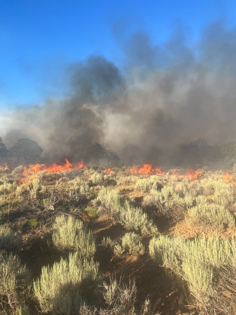 Little Mesa Fire - photo of brush on fire