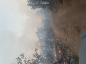 Little Mesa Fire around a burned road