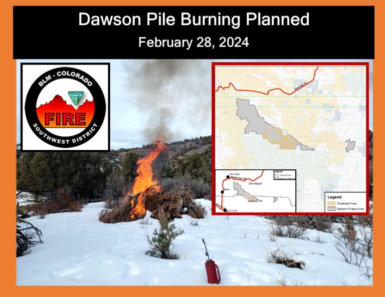 Dawson Pile Burning PLanned