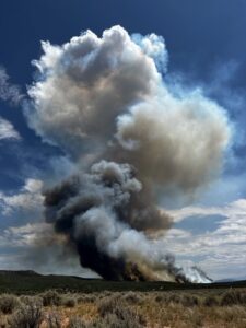 Smoke billowing from the Bucktail Fire