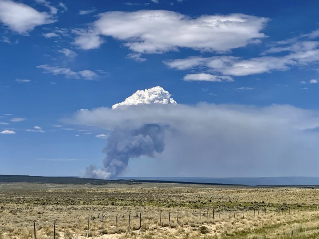 Smoke billowing from a distance from Bucktail Fire West End Montrose County