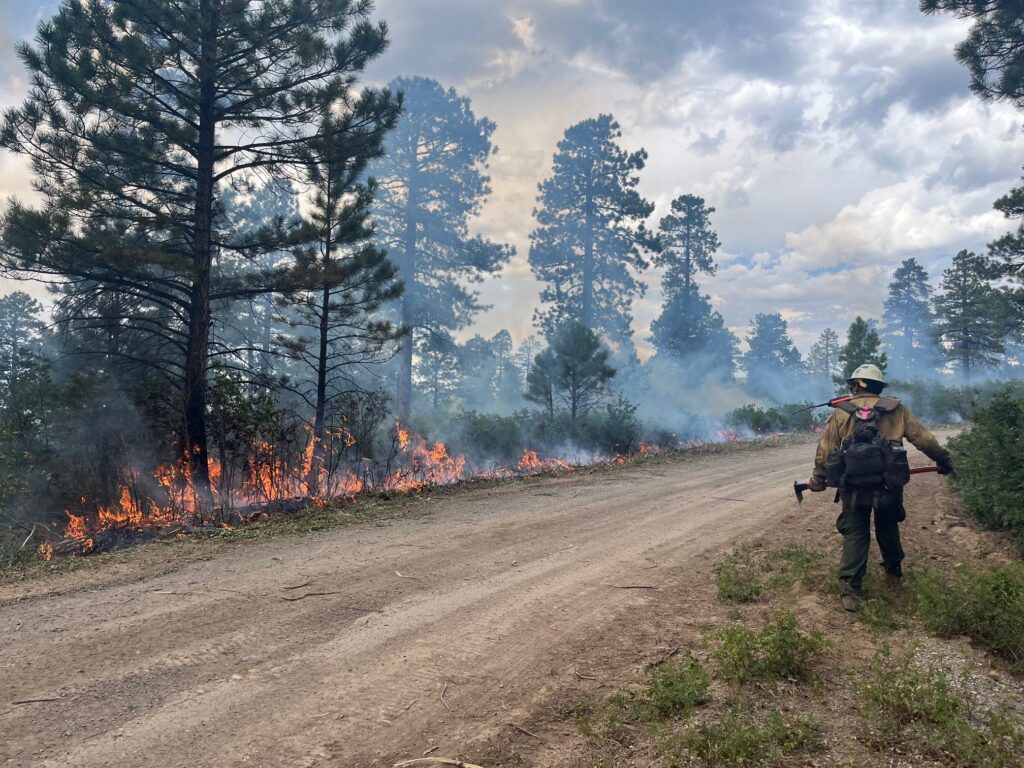 Bucktail Fire firefighter at work