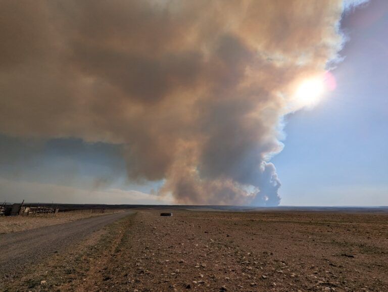 Boyce Fire – Uncompahgre